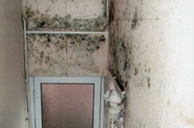 Thanet Timber & Damp - Condensation