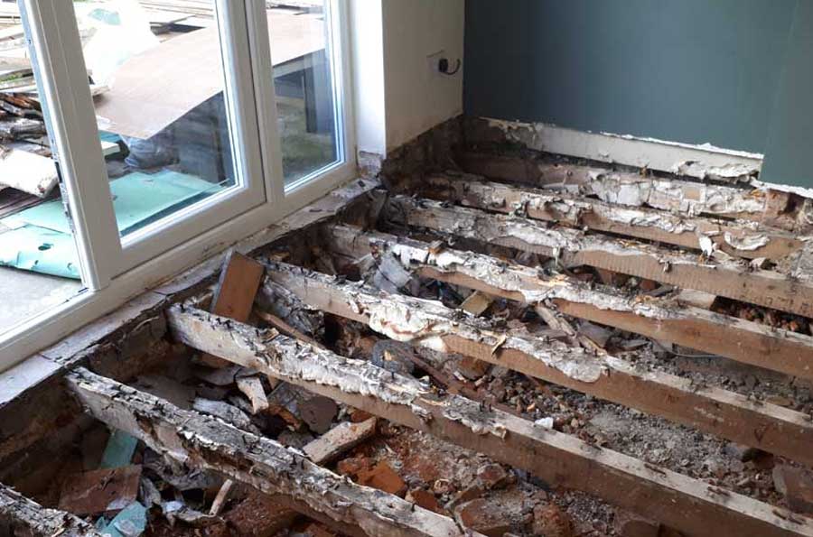 Thanet Timber & Damp - Dry Rot