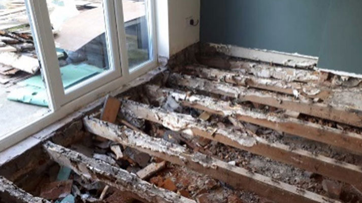 Image of Dry Rot and Wet Rot