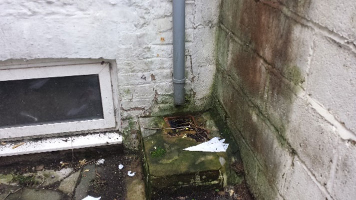 Image of Penetrative damp