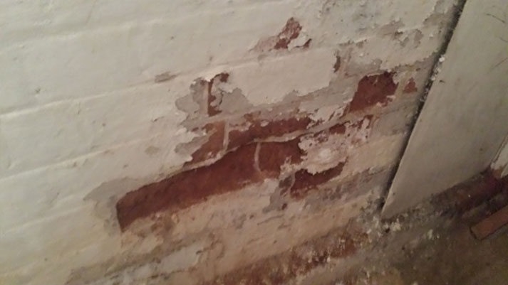 Image of Rising damp