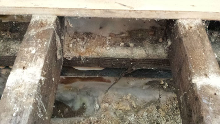 Image of What causes damp in buildings