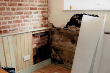 Thanet Timber & Damp - Rising Damp