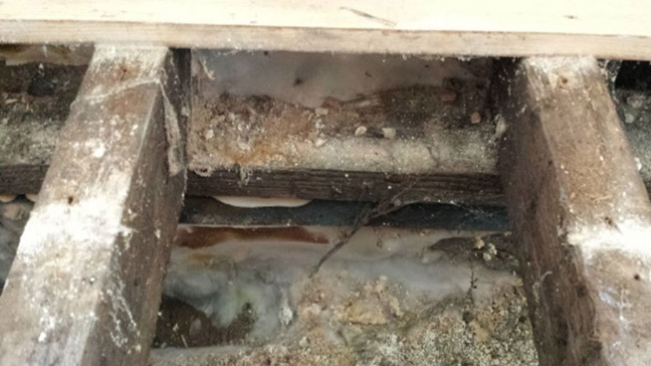 Image of What Causes Damp in Buildings