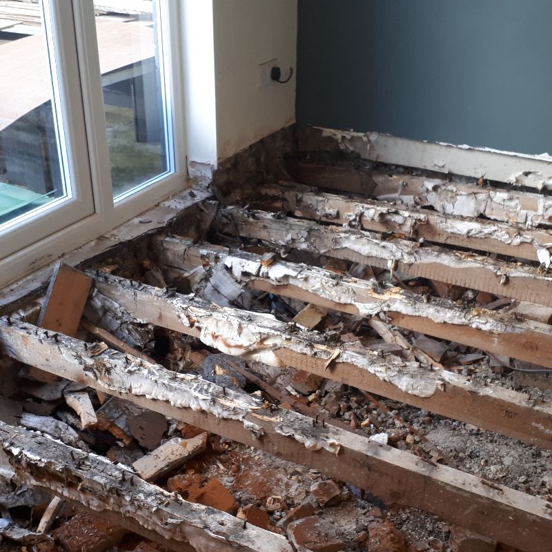 Dry Rot, Ground Floor, Ramsgate 2020 - Thanet Timber and Damp Ltd Gallery