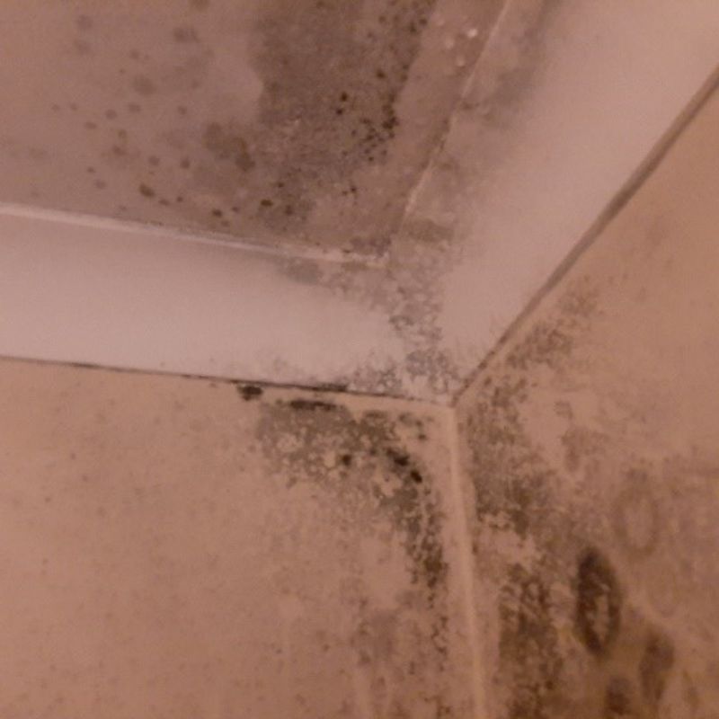Condensation/mould treatment - Before and after treatment- Canterbury 2023 - Thanet Timber and Damp Ltd